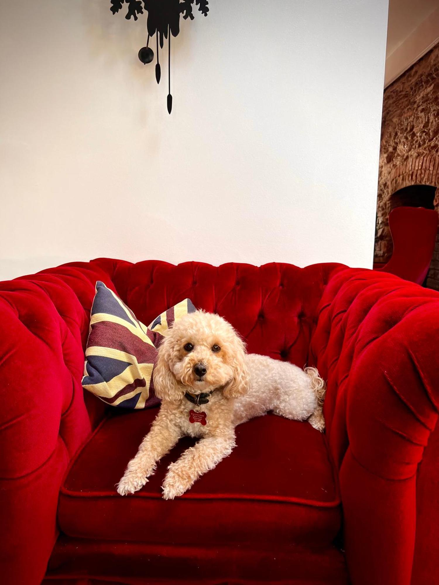 Brightham House - Exclusively For Adults Bed & Breakfast Salcombe Luaran gambar